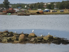 Соловецкие острова, август 2009, трафик