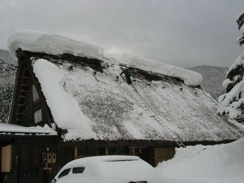 Япония, такая разная зима, 2010 год (фототрафик)