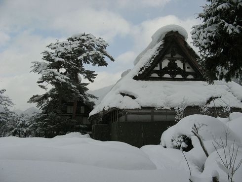 Япония, такая разная зима, 2010 год (фототрафик)