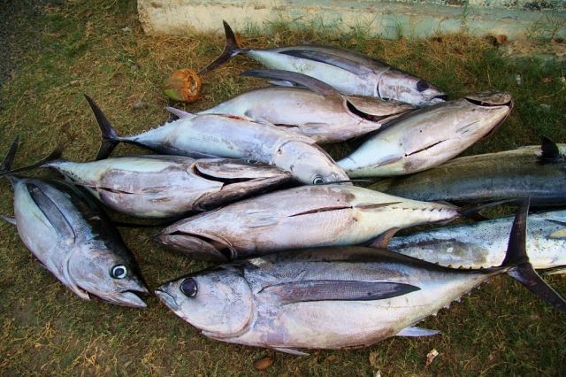 Пляжи Маврикия