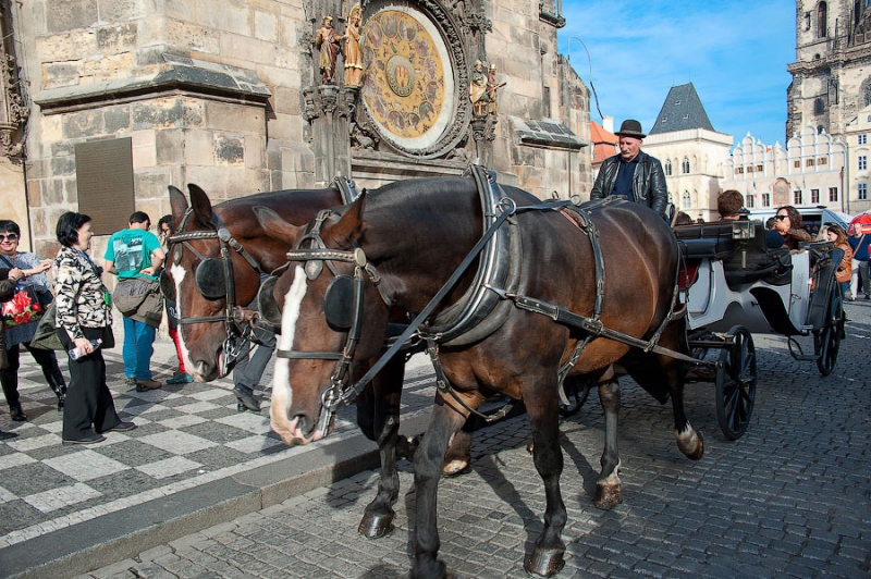 Осень в Праге и трансатлантический круиз на Independence of the Seas