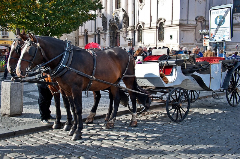 Осень в Праге и трансатлантический круиз на Independence of the Seas
