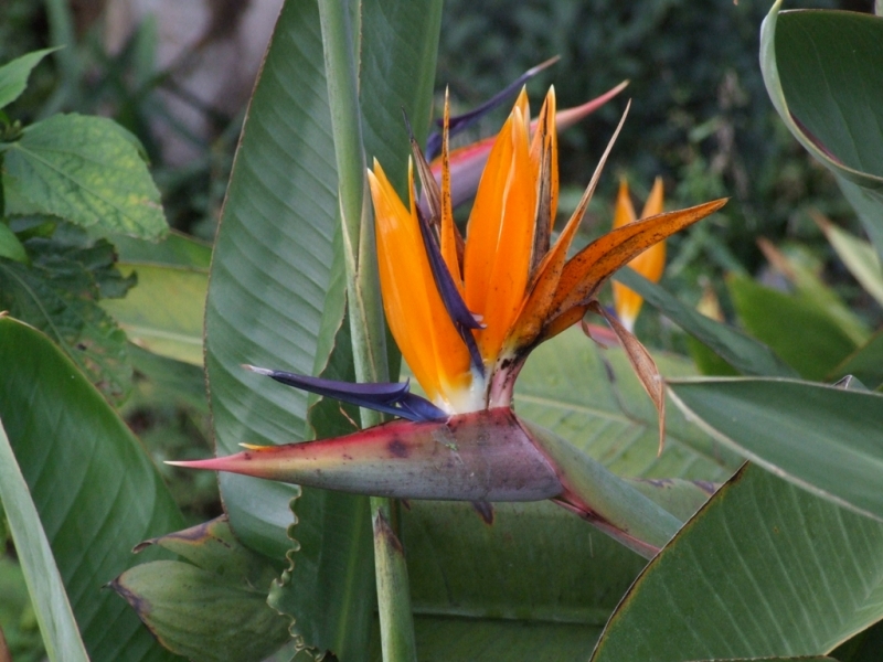 Автопутешествие «Новогодние каникулы на краю «Старого Света»