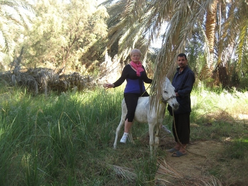 Белая Пустыня:  Каир-Бахария 1-4.12.2010