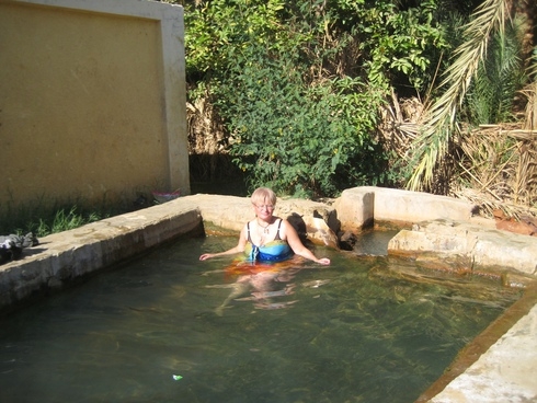 Белая Пустыня:  Каир-Бахария 1-4.12.2010