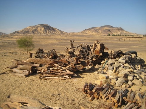 Белая Пустыня:  Каир-Бахария 1-4.12.2010