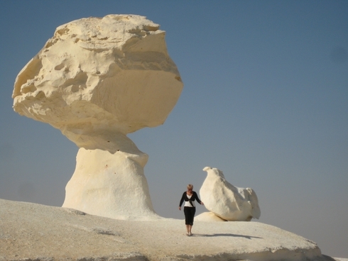 Белая Пустыня:  Каир-Бахария 1-4.12.2010