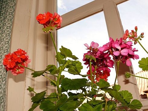 Красноярск - курортный город