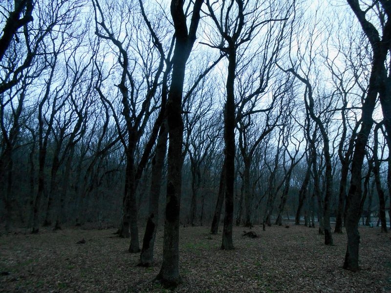 Кавказские Минеральные Воды:  5-дневный уик-энд.