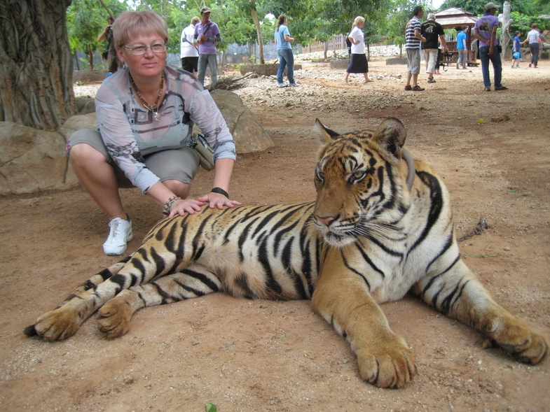 Дом Розового Дракона + Тигриный Храм, 17 июля 2010