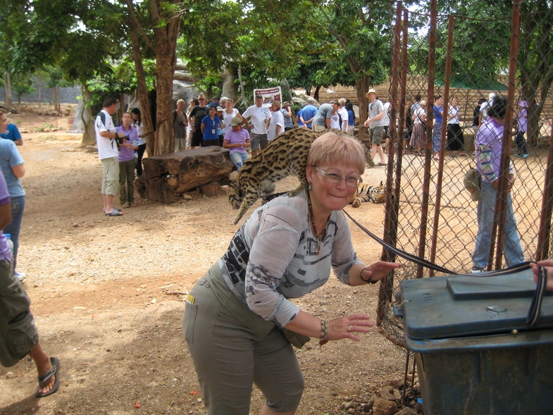 Дом Розового Дракона + Тигриный Храм, 17 июля 2010