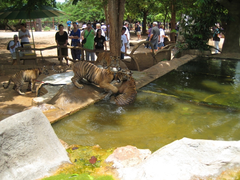 Дом Розового Дракона + Тигриный Храм, 17 июля 2010