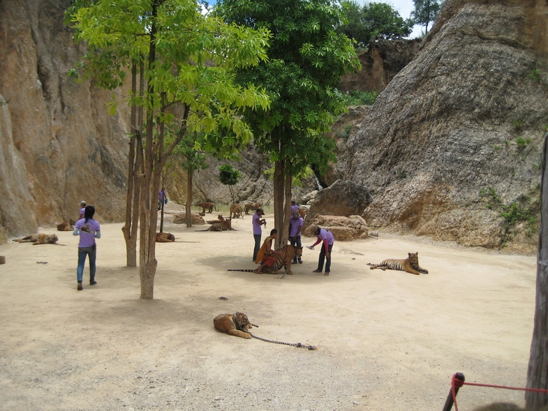 Дом Розового Дракона + Тигриный Храм, 17 июля 2010