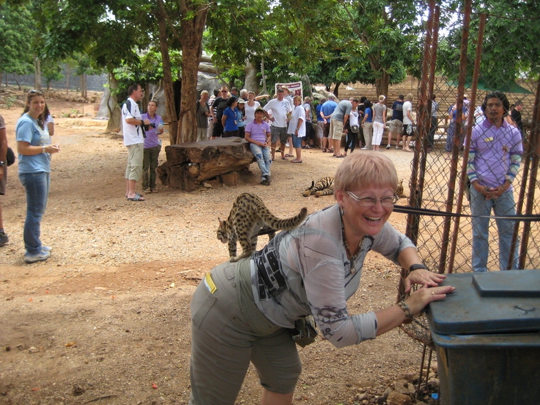 Дом Розового Дракона + Тигриный Храм, 17 июля 2010