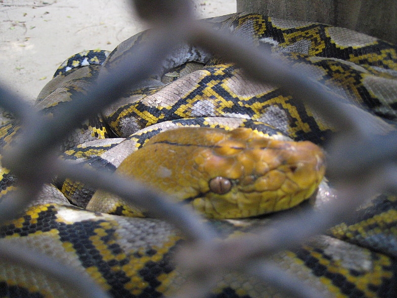 1 день в Самут Пракане: Сердце Будды, Муанг Боран, Трехголовый Слон