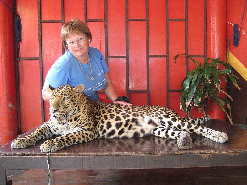 1 день в Самут Пракане: Сердце Будды, Муанг Боран, Трехголовый Слон