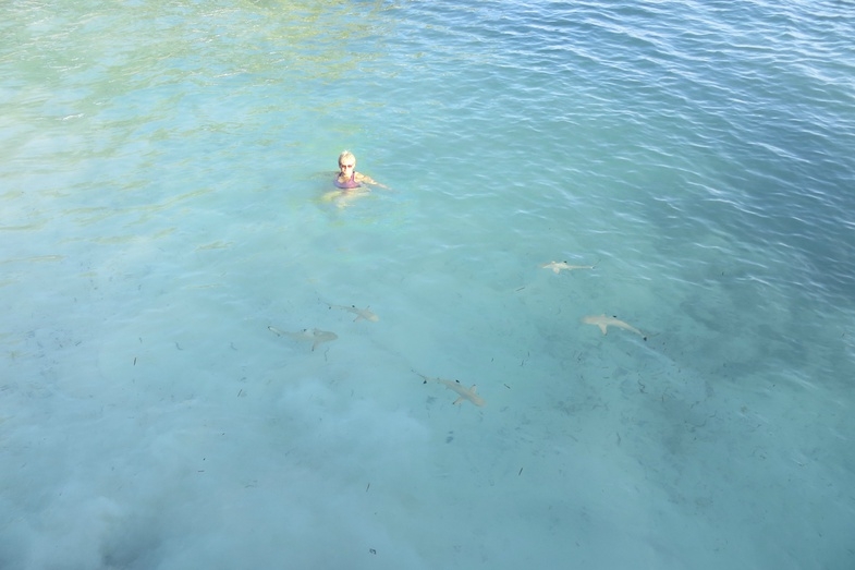 Мальдивы: возможно все. "Equator Vilage", о.Ган и прочие острова атолла Addu (Seenu)