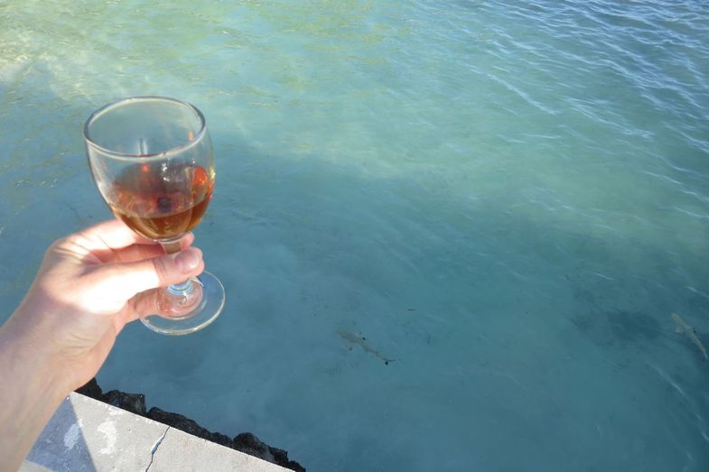 Мальдивы: возможно все. "Equator Vilage", о.Ган и прочие острова атолла Addu (Seenu)