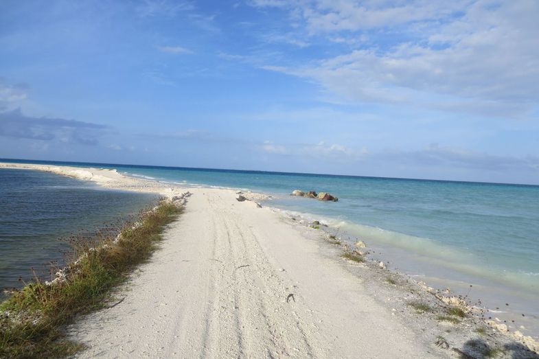 Мальдивы: возможно все. "Equator Vilage", о.Ган и прочие острова атолла Addu (Seenu)