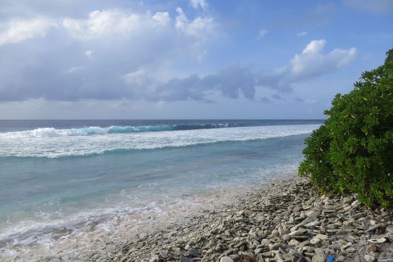 Мальдивы: возможно все. "Equator Vilage", о.Ган и прочие острова атолла Addu (Seenu)