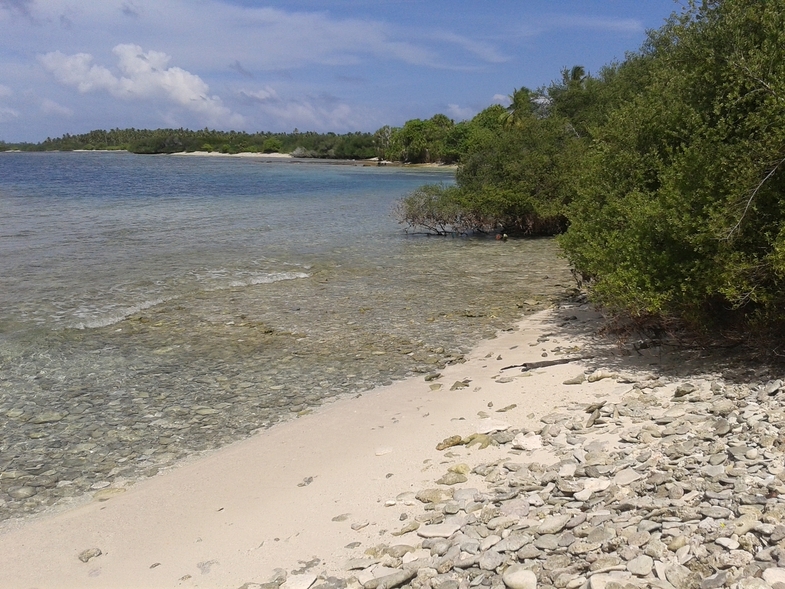 Мальдивы: возможно все. "Equator Vilage", о.Ган и прочие острова атолла Addu (Seenu)
