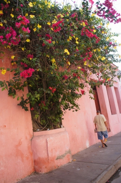 Колумбия в январе 2014