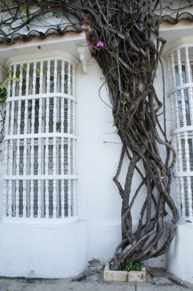 Колумбия в январе 2014