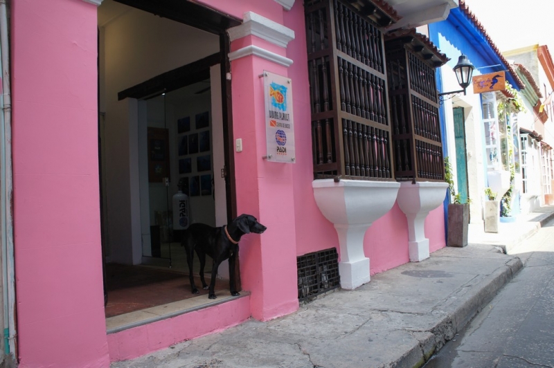 Колумбия в январе 2014