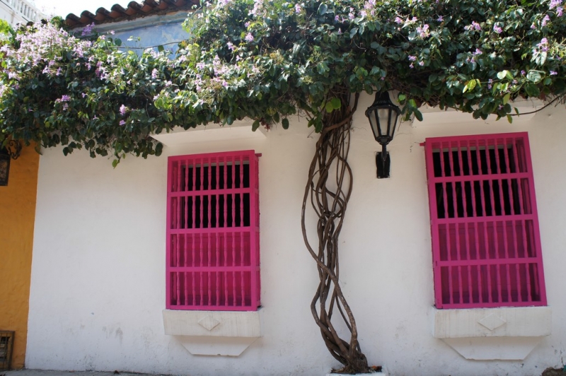 Колумбия в январе 2014