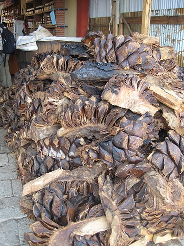 Мексика 14.04 - 25.04.2009