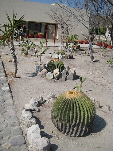 Мексика 14.04 - 25.04.2009