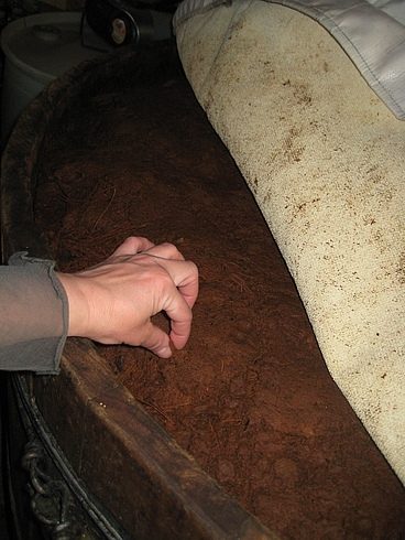 Мексика 14.04 - 25.04.2009