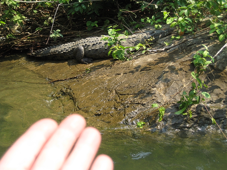 Мексика 14.04 - 25.04.2009