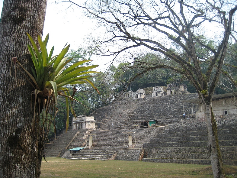 Мексика 14.04 - 25.04.2009