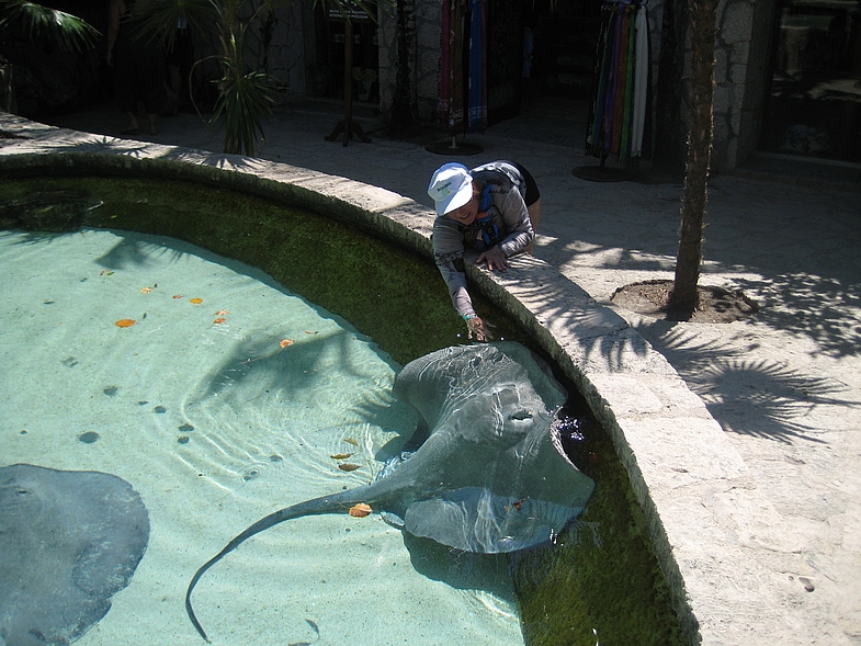 Мексика 14.04 - 25.04.2009