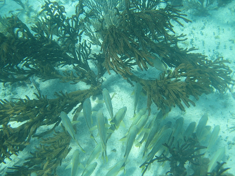 Мексика 14.04 - 25.04.2009