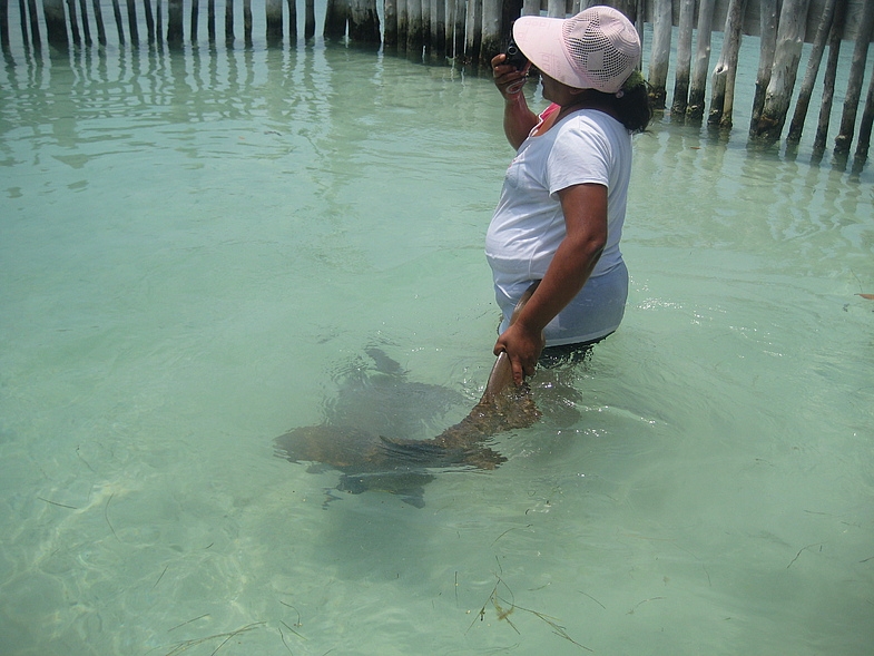 Мексика 14.04 - 25.04.2009