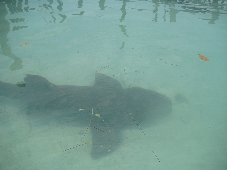 Мексика 14.04 - 25.04.2009