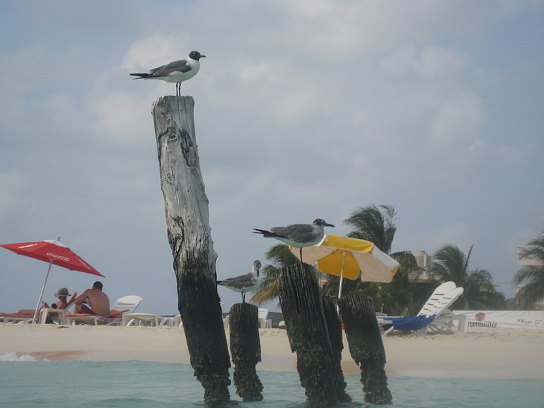 Мексика 14.04 - 25.04.2009