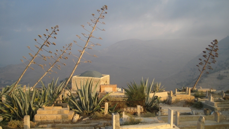 Иордания 26.10 - 2.11.08