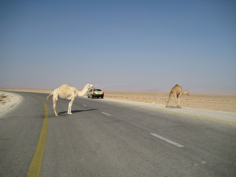 Иордания 26.10 - 2.11.08