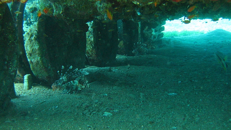 Иордания 26.10 - 2.11.08