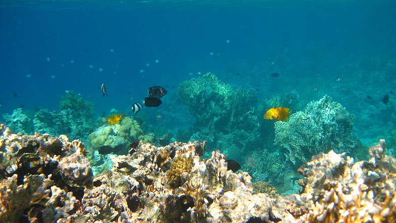 Иордания 26.10 - 2.11.08