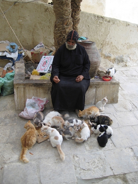 Монастыри Св Антония и Св Павла, Дендеры, Абидос