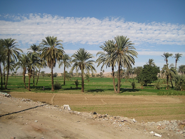 Монастыри Св Антония и Св Павла, Дендеры, Абидос