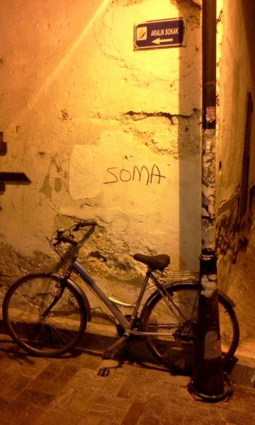 Licyan way+Istanbul. май-июнь. 2014