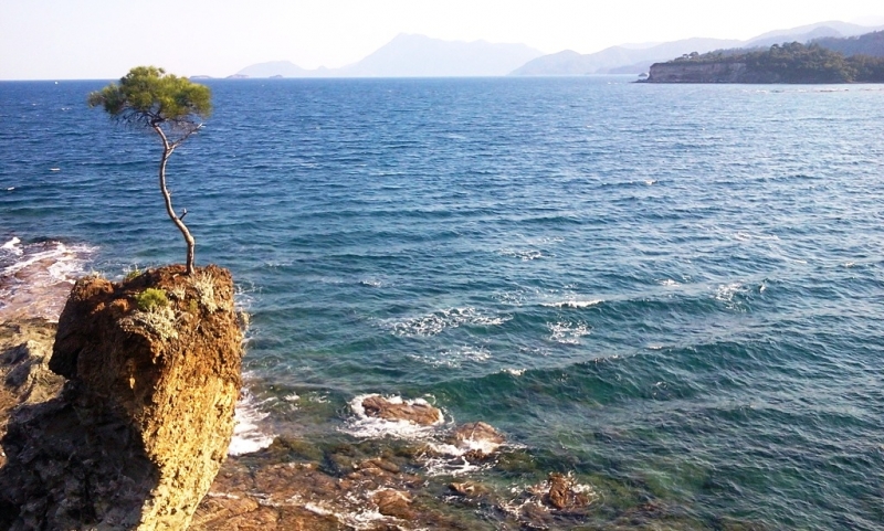 Licyan way+Istanbul. май-июнь. 2014