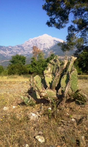 Licyan way+Istanbul. май-июнь. 2014