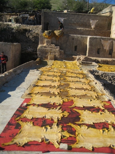 Марокко 3.11-11.11.2010