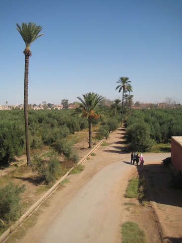 Марокко 3.11-11.11.2010